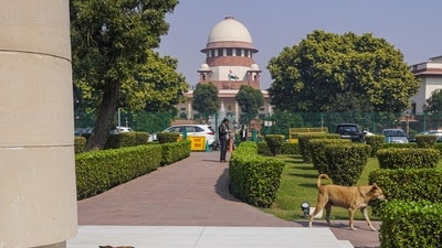 Stray dogs seen in the Supreme Court premises, in New Delhi, Friday, November 7, 2025. (PTI) Stray dogs seen in the Supreme Court premises, in New Delhi, Friday, November 7, 2025. (PTI)