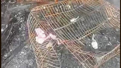 The charred remains of a canine cage. (HT Photo) The charred remains of a canine cage. (HT Photo)