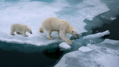 Latest monthly data for the planet’s October temperatures is yet another proof that the 1.5°C could be breached sooner rather than later. Latest monthly data for the planet’s October temperatures is yet another proof that the 1.5°C could be breached sooner rather than later.
