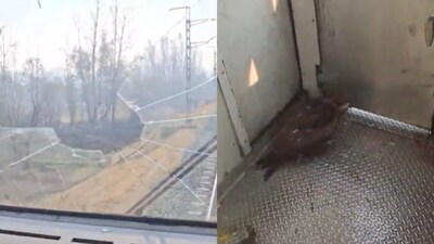 An eagle broke a train’s windscreen in Jammu and Kashmir and injured the pilot. (X)