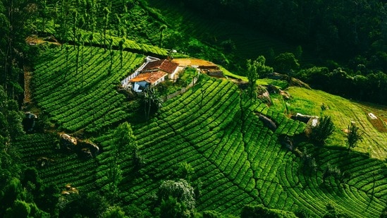 ఊటీ (Image source Unsplash)