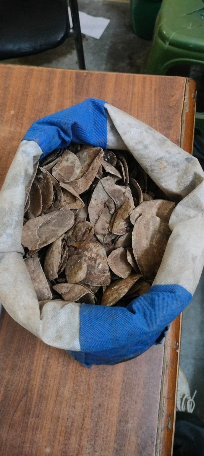 3.05 kg of pangolin scales were recovered from the accused. (HT)
