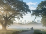 From 10 November onwards, the mist will make way for partly cloudy conditions. (AI generated image-Google Gemini)