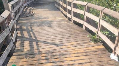 . “There will be an 800-m-long elevated, wooden, eco-sensitive boardwalks meandering through the mangroves for tourists,” said sources. . “There will be an 800-m-long elevated, wooden, eco-sensitive boardwalks meandering through the mangroves for tourists,” said sources.