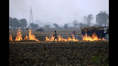 Farmer burns stubble on the outskirts Bathinda on Sunday. (Sanjeev Kumar/HT) Farmer burns stubble on the outskirts Bathinda on Sunday. (Sanjeev Kumar/HT)
