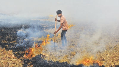 Prior to 2024, cases were filed under the equivalent section of the Indian Penal Code Section 188. (PTI File Photo)