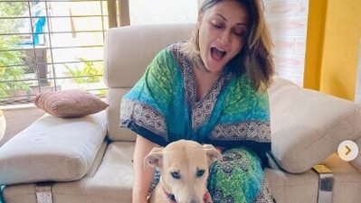 Urvashi Dholakia shared a bunch of pictures with her pets. Urvashi Dholakia shared a bunch of pictures with her pets.