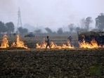 Farmer burns stubble on the outskirts Bathinda on Sunday. (Sanjeev Kumar/HT)
