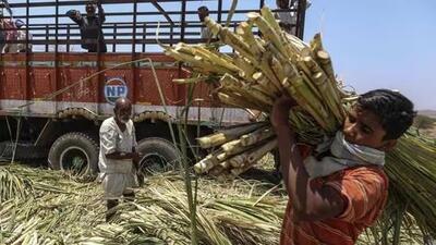 Last year, the government fixed the state advice price (SAP) of ₹401 per quintal and had promised that it would pay the difference between FRP and SAP to the farmers who had taken their produce for crushing at the six privately owned mills in the state. Last year, the government fixed the state advice price (SAP) of ₹401 per quintal and had promised that it would pay the difference between FRP and SAP to the farmers who had taken their produce for crushing at the six privately owned mills in the state.