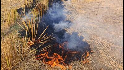 Official said that this year’s stubble fires have not peaked yet for various reasons, and that might also explain the lower contribution.