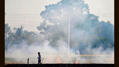 The district saw just 57 stubble burning incidents till November 5 which rose to 148 on November 9. (HT File Photo)
