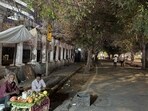 For the moment, the brightest light is emanating out from citizen Sunder’s fruit salad stall. (HT Photo) For the moment, the brightest light is emanating out from citizen Sunder’s fruit salad stall. (HT Photo)