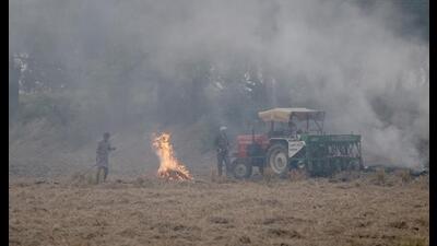 Farmers burn stubble in a field in Mansa on Tuesday. (REUTERS) Farmers burn stubble in a field in Mansa on Tuesday. (REUTERS)