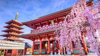 The ultimate 20-point Japan itinerary for your year-end hurrah! (Photo: The Portable Wife)
