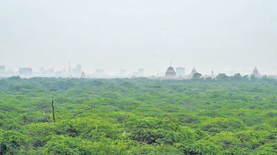 The CEC’s 2024 report showed that of the total Ridge area — divided into the Northern Ridge (87 hectares), Central Ridge (864 ha), South-Central Ridge in Mehrauli (626 ha) and Southern Ridge (6,200 ha) — about 308.5 hectares, or 5%, is under encroachment. (HT Archive) The CEC’s 2024 report showed that of the total Ridge area — divided into the Northern Ridge (87 hectares), Central Ridge (864 ha), South-Central Ridge in Mehrauli (626 ha) and Southern Ridge (6,200 ha) — about 308.5 hectares, or 5%, is under encroachment. (HT Archive)