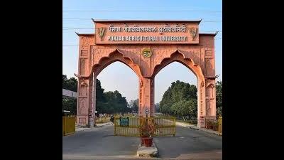 The varsity is undertaking a major renovation of the MS Randhawa Library with around ₹5 crore. (HT File) The varsity is undertaking a major renovation of the MS Randhawa Library with around ₹5 crore. (HT File)