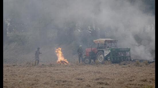 Farmers burn stubble in a field in Mansa on Tuesday. (REUTERS)