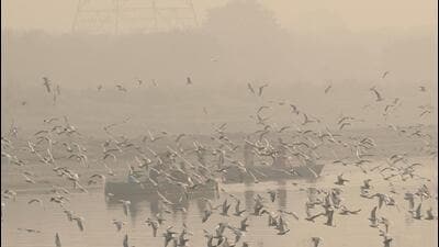 A thick layer of smog blankets the Yamuna River on Wednesday morning, as air quality continues to deteriorate across the Capital. (Vipin Kumar/HT Photo) A thick layer of smog blankets the Yamuna River on Wednesday morning, as air quality continues to deteriorate across the Capital. (Vipin Kumar/HT Photo)