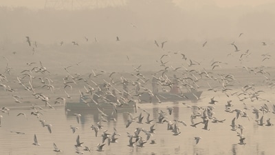 Layer of Smog engulfed Delhi in the early hours of November 12 at the Yamuna River, showing the deteriorating air quality of the city. (Vipin Kumar/ Hindustan Times) Layer of Smog engulfed Delhi in the early hours of November 12 at the Yamuna River, showing the deteriorating air quality of the city. (Vipin Kumar/ Hindustan Times)