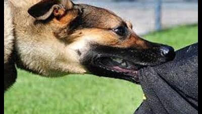 Representational image (Sourced)