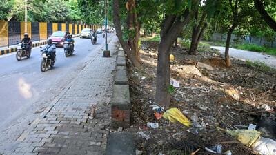 Waste seen near green belts of Sector 31/40 dividing road. (Parveen Kumar/HT) Waste seen near green belts of Sector 31/40 dividing road. (Parveen Kumar/HT)