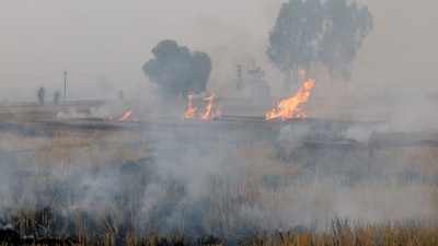 Smoke rises from burning stubble in a crop field in Punjab's Mansa amid the ongoing debate over the rising AQI levels in the neighbouring state of Delhi. (Reuters)