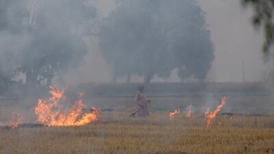 Amid thick smog and worsening air quality in Delhi-NCR, a farmer sets fire to crop stubble in a field at Mansa, Punjab. (Reuters)