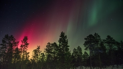 Chicago witnessed a burst of Northern Lights (Unsplash) Chicago witnessed a burst of Northern Lights (Unsplash)