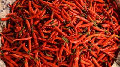 Science explains why we love spicy food (Unsplash) Science explains why we love spicy food (Unsplash)