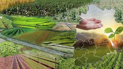 గురుకుల అగ్రికల్చర్ కాలేజీల్లో ప్రవేశానికి 14 కౌన్సెలింగ్ గురుకుల అగ్రికల్చర్ కాలేజీల్లో ప్రవేశానికి 14 కౌన్సెలింగ్