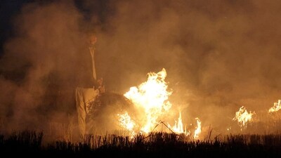 Visuals show stubble being burnt in Punjab amid rising air pollution concerns on November 11.&nbsp; (Reuters)