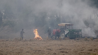 Farmers in Punjab seen burning crop in their fields amid deteriorating air quality in Delhi-NCR. (Reuters)