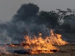 A farmer burns stubble in a crop field in Punjab. (REUTERS)