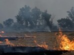 By Monday, the amicus informed the court that there is a possibility that the AQI could cross into the ‘severe plus’ category (above 450) (REUTERS)