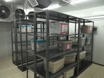 The facility has been created in the basement of the Gurdev Singh Khush Institute of Genetics, Plant Breeding and Biotechnology. (Gurpreet Singh/HT)