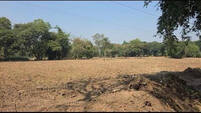 Another sub-registrar suspended as animal husbandry dept land sale triggers high-level probe Another sub-registrar suspended as animal husbandry dept land sale triggers high-level probe