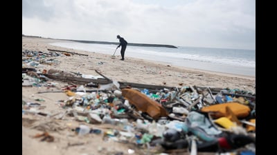 Ebola’s legacy reveals an uncomfortable truth: Environmental sustainability is not just conservation, it is disease prevention. (REUTERS) Ebola’s legacy reveals an uncomfortable truth: Environmental sustainability is not just conservation, it is disease prevention. (REUTERS)