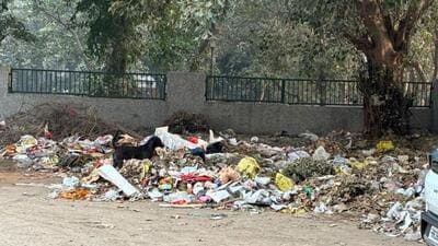 Garbage seen spread along the road in Sector 23A in Gurugram on Thursday. (HT Photo) Garbage seen spread along the road in Sector 23A in Gurugram on Thursday. (HT Photo)