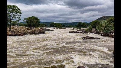 The Supreme Court held that the Tamil Nadu government was free to pursue appropriate legal remedies in the event of the Central Water Commission (CWC) approved the project’s DPR, with the Cauvery Water Management Authority’s (CWMA) consideration. (PTI)