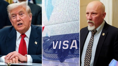US lawmaker Chip Roy calls for total immigration freeze after Donald Trump tightens H-1B visa rules US lawmaker Chip Roy calls for total immigration freeze after Donald Trump tightens H-1B visa rules