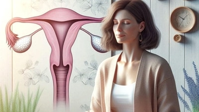 Read more to discover how oestrogen decline affects the brain. (Pixabay) Read more to discover how oestrogen decline affects the brain. (Pixabay)