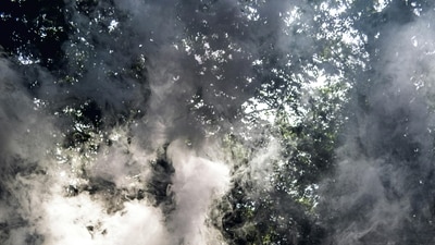 Several people in the Illinois county complained of smoke on Thursday. Image for representational purposes. (Pexels)