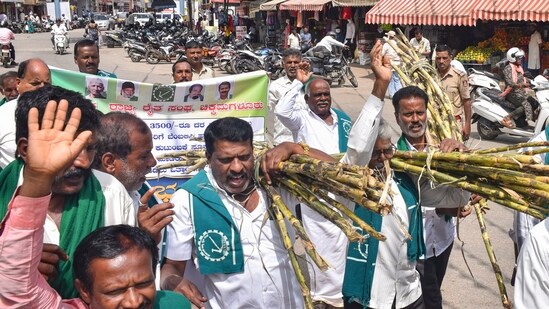 The farmers had staged a protest seeking a support price of ₹3,500 per tonne of sugarcane. (PTI/Representative Image)