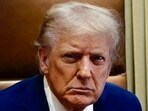 Donald Trump has labelled the Epstein saga a 'hoax'.
