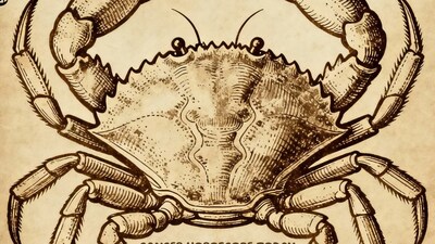 Cancer Horoscope Today: Read our expert astrological predictions to find out what the stars have in store for you.