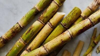 The Uttar Pradesh cabinet approved the state advisory price of ₹400 per quintal for the advance variety, ₹390 per quintal for the general variety and ₹355 per quintal for another variety. (REPRESENTATIVE IMAGE) The Uttar Pradesh cabinet approved the state advisory price of ₹400 per quintal for the advance variety, ₹390 per quintal for the general variety and ₹355 per quintal for another variety. (REPRESENTATIVE IMAGE)