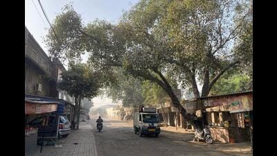 The simple shopping street of Khasa near the Wagah-Attari border with its grand peepal trees was once a sleepy avenue with few vehicles plying on it barring the packed buses. (Photo by the writer) The simple shopping street of Khasa near the Wagah-Attari border with its grand peepal trees was once a sleepy avenue with few vehicles plying on it barring the packed buses. (Photo by the writer)