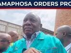 South Africa to probe 'mystery' influx of Palestinian refugees South Africa to probe 'mystery' influx of Palestinian refugees