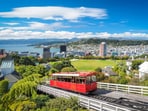 5 New Zealand city stops to experience the calm call of the wild 5 New Zealand city stops to experience the calm call of the wild