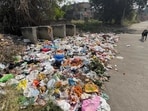 Waste dumped at railway colony number 8 in Ludhiana on Saturday (Gurpreet Singh/HT) Waste dumped at railway colony number 8 in Ludhiana on Saturday (Gurpreet Singh/HT)